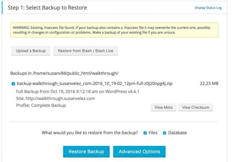 The Backup Buddy Plugin How to Use it to Restore Your Blog