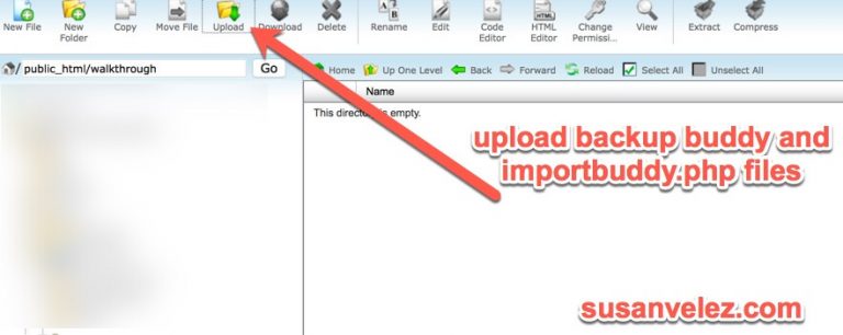 wp backup buddy