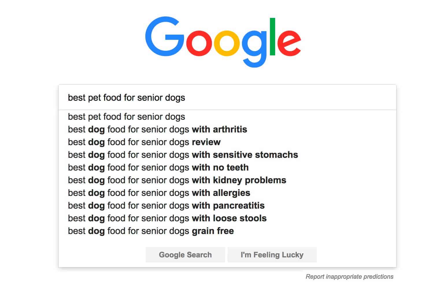 senior dogs keywords